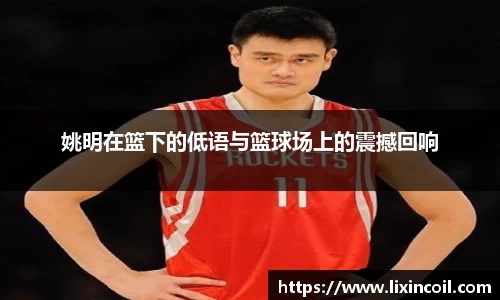 姚明在篮下的低语与篮球场上的震撼回响