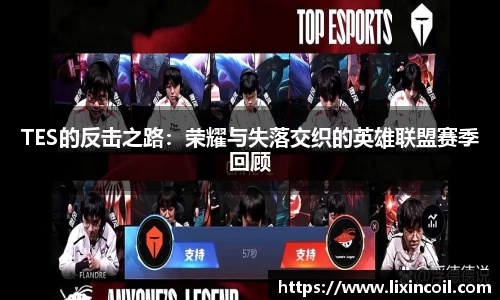 TES的反击之路：荣耀与失落交织的英雄联盟赛季回顾