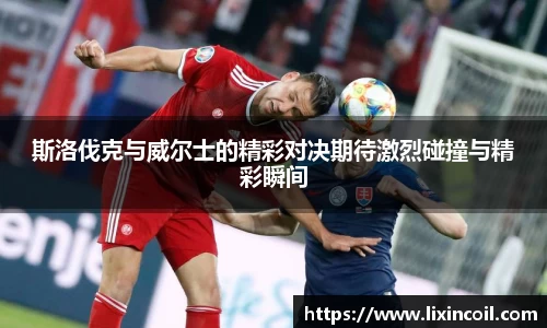 斯洛伐克与威尔士的精彩对决期待激烈碰撞与精彩瞬间