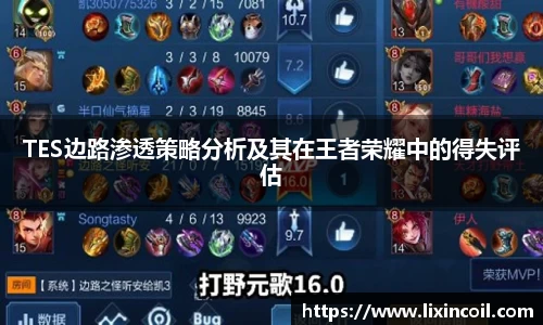 TES边路渗透策略分析及其在王者荣耀中的得失评估