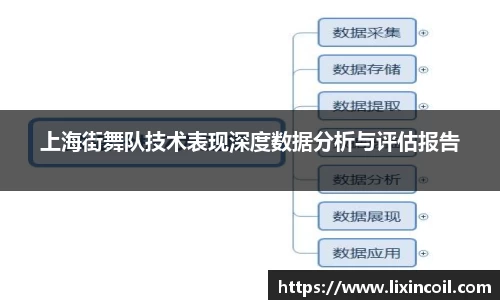 上海街舞队技术表现深度数据分析与评估报告
